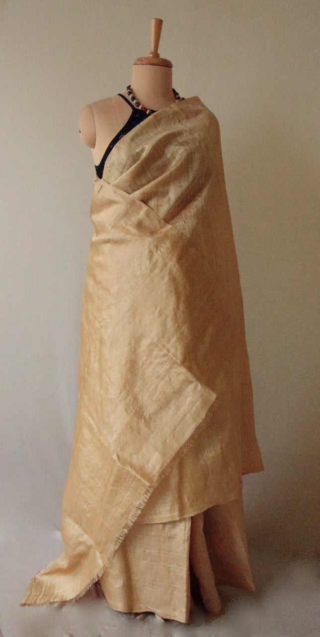 Luxurious Golden Plain Muga Silk Saree from Assam