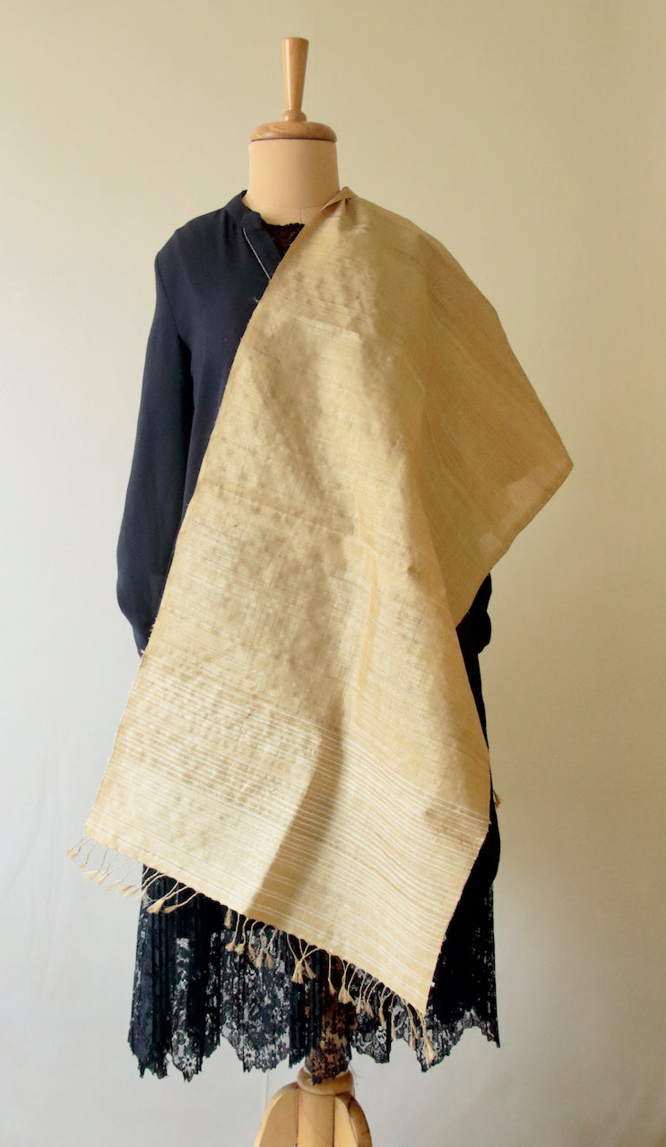 Golden Muga Silk Scarf / Stole with stripes .