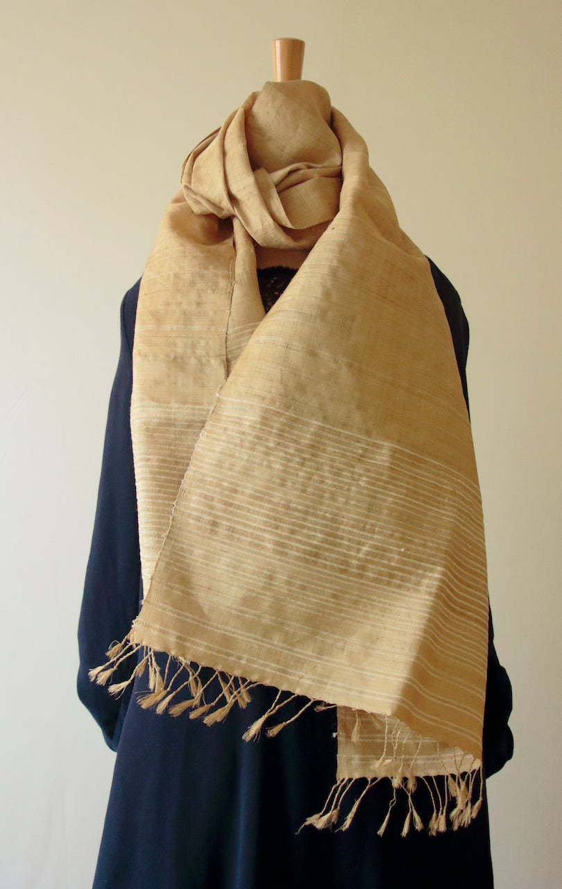 Golden Muga Silk Scarf / Stole with stripes .