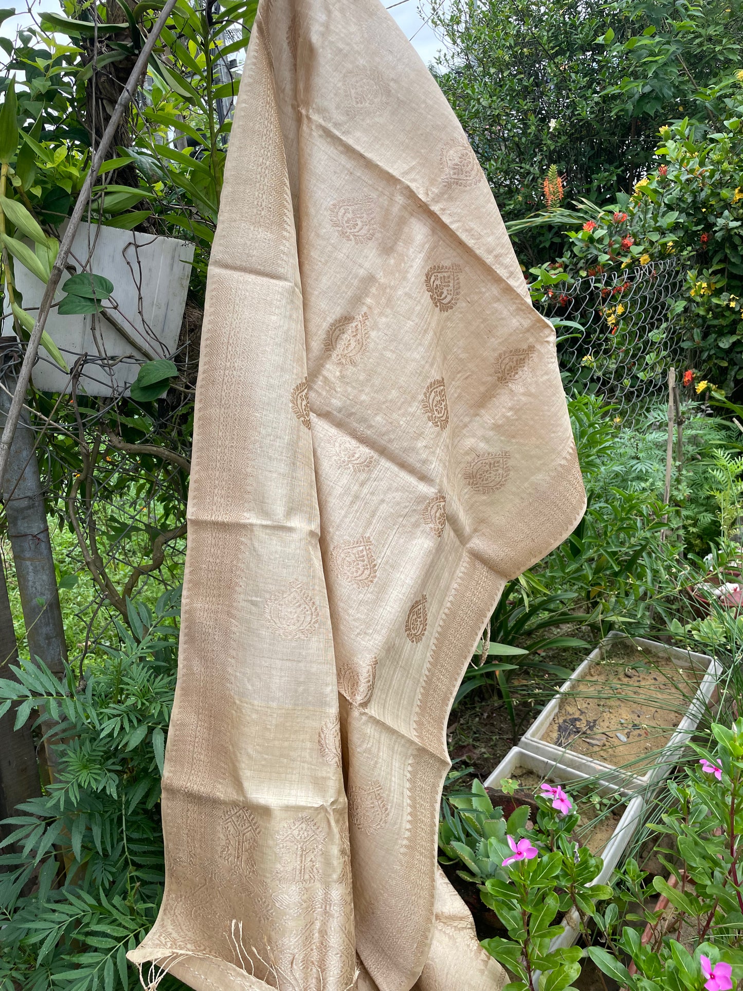 Handloom Muga Silk Shawl / Dupatta with Muga Silk Motifs from Assam - Order Only