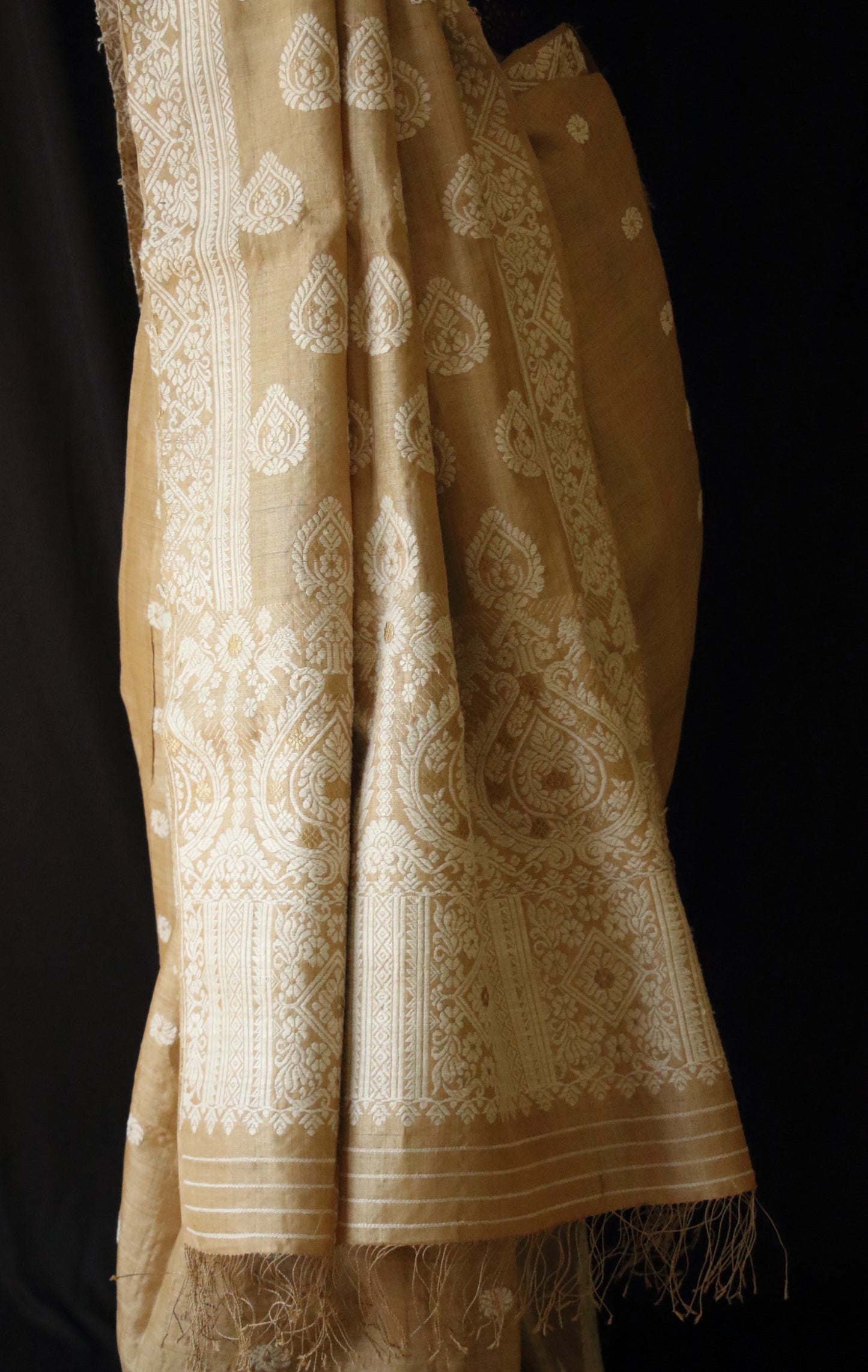 Handloom Authentic Muga Silk Sari with Eri silk Motifs from Assam