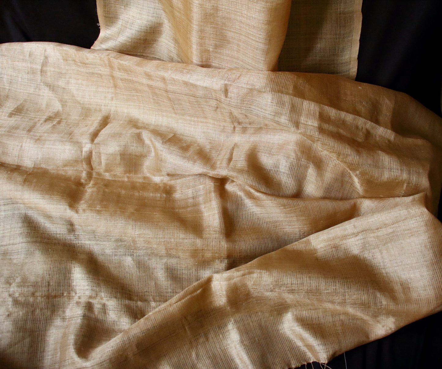 Luxurious Golden Plain Muga Silk Saree from Assam