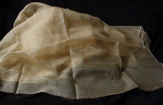 Handloom Silk Organza - width 45" from Assam
