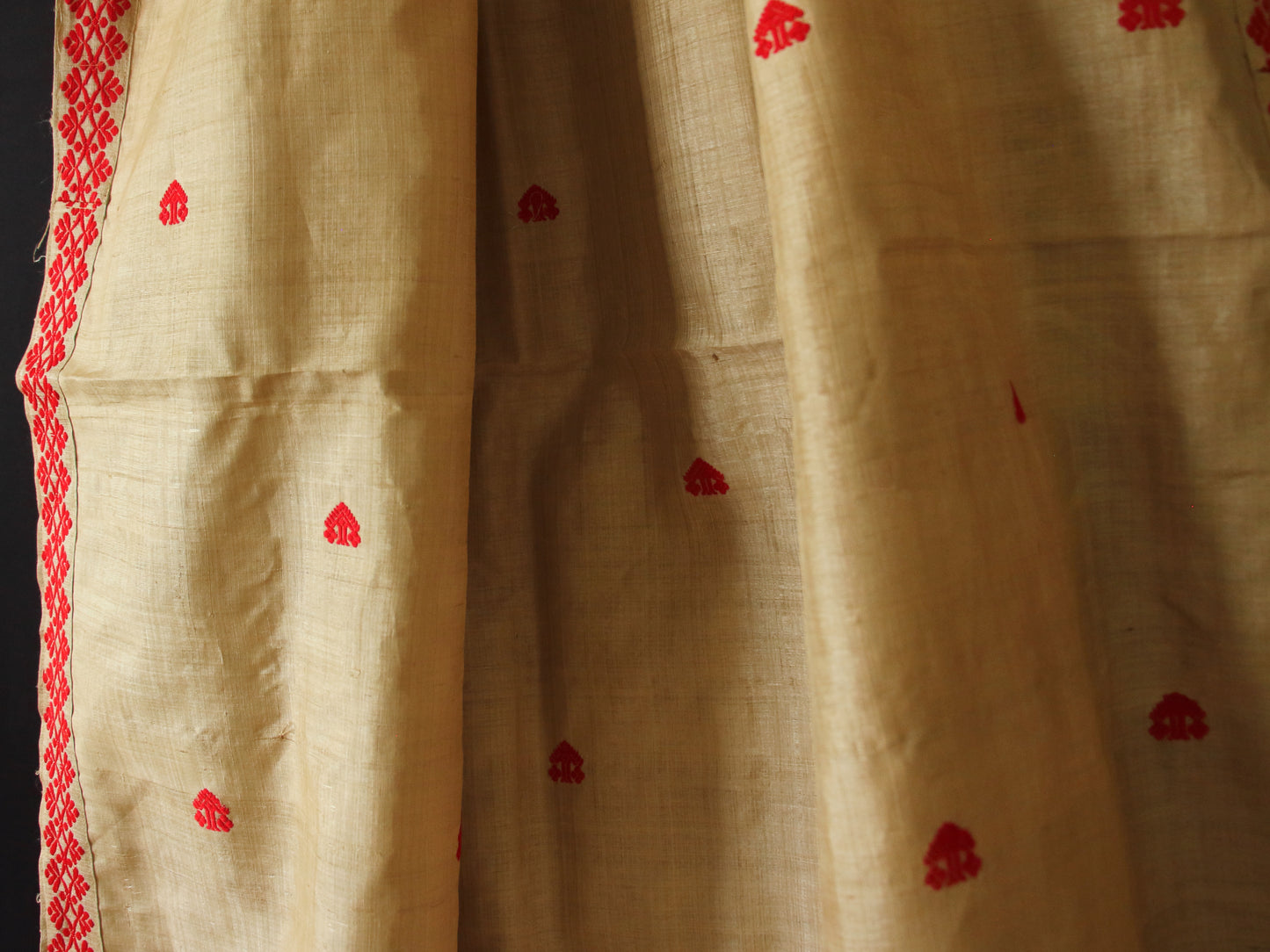 Muga Silk Saree in classic red motifs from Assam , India