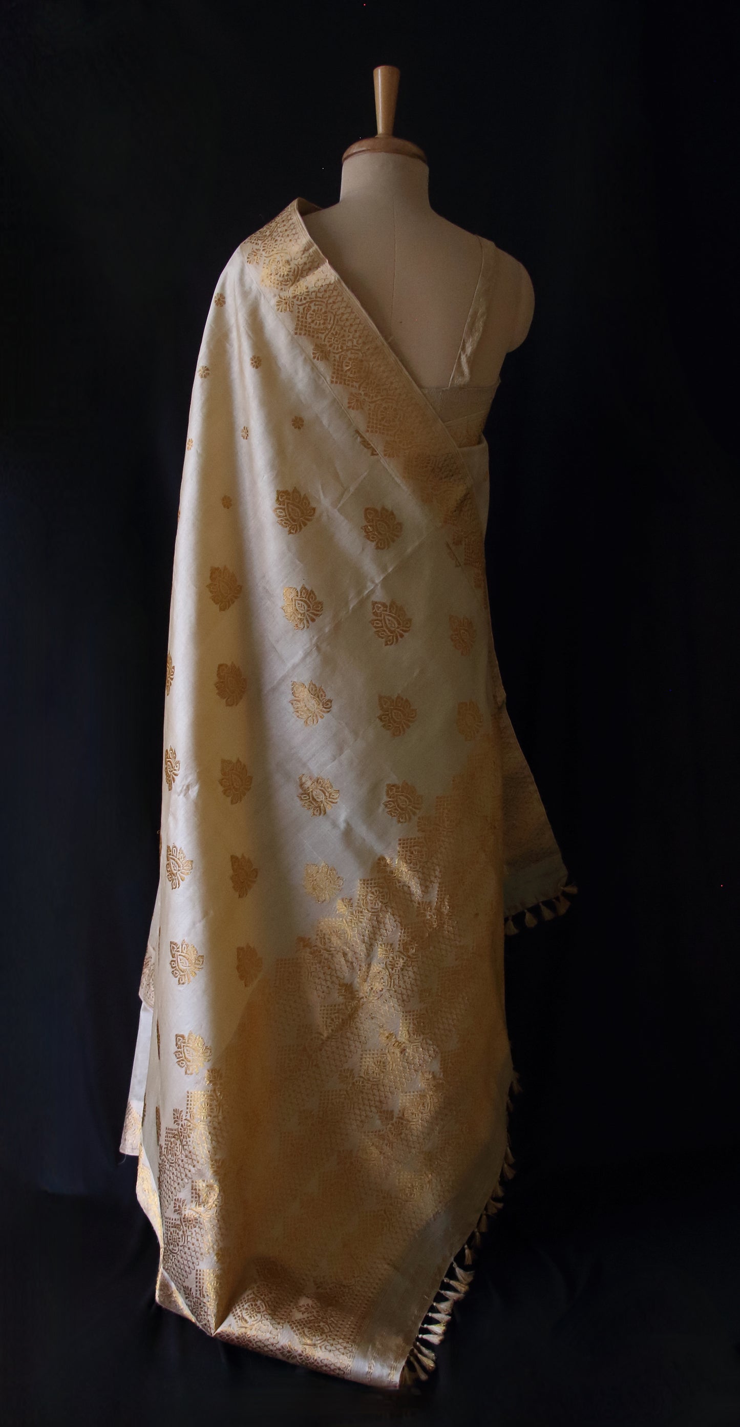 Handloom Tassar Silk Sari with motifs in Golden Zari