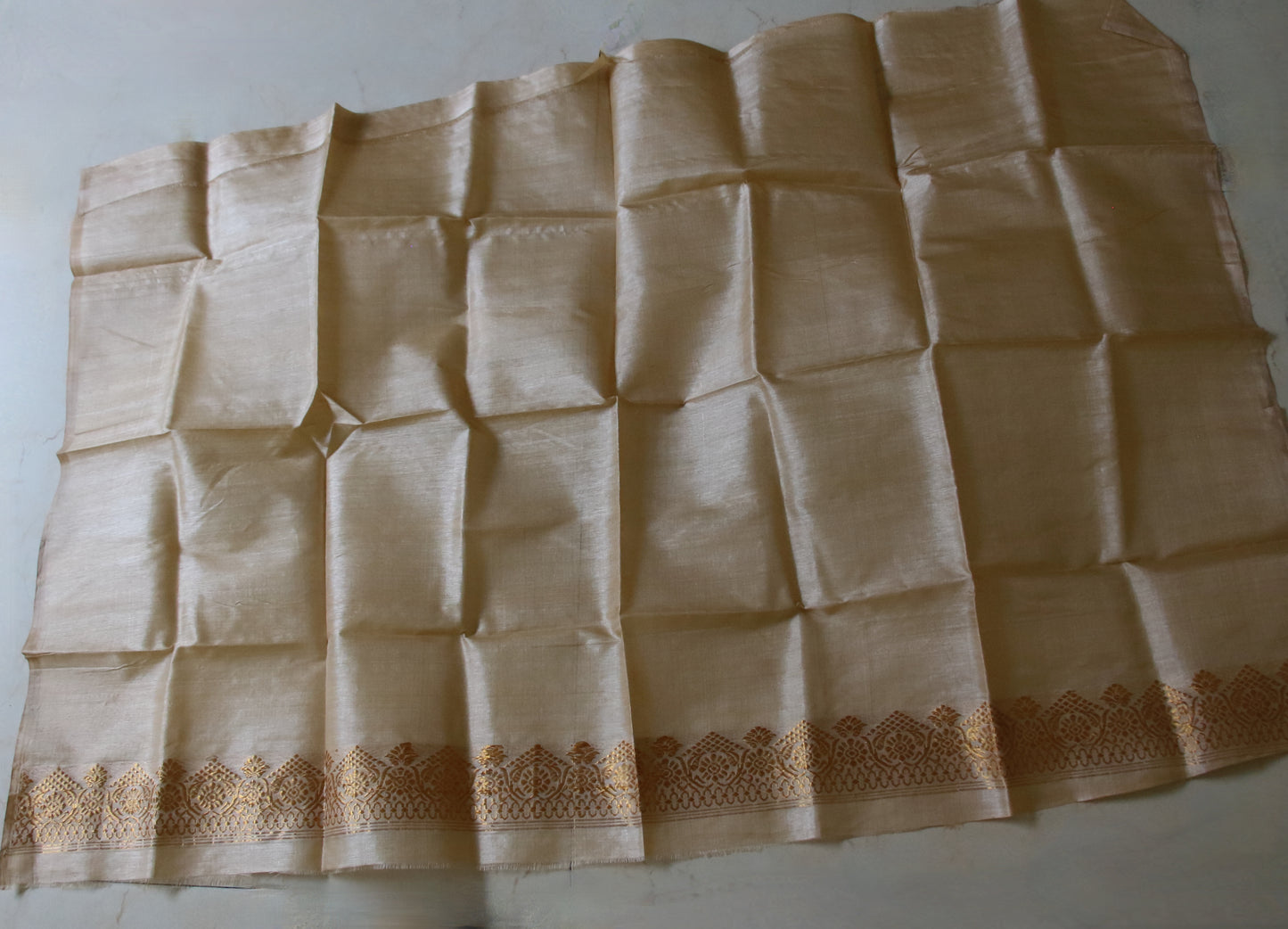 Handloom Tassar Silk Sari with motifs in Golden Zari