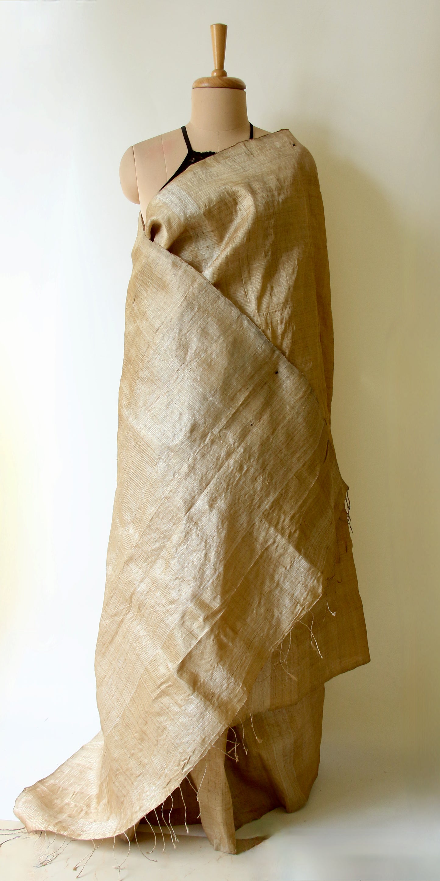 Luxurious Golden Plain Muga Silk Saree from Assam