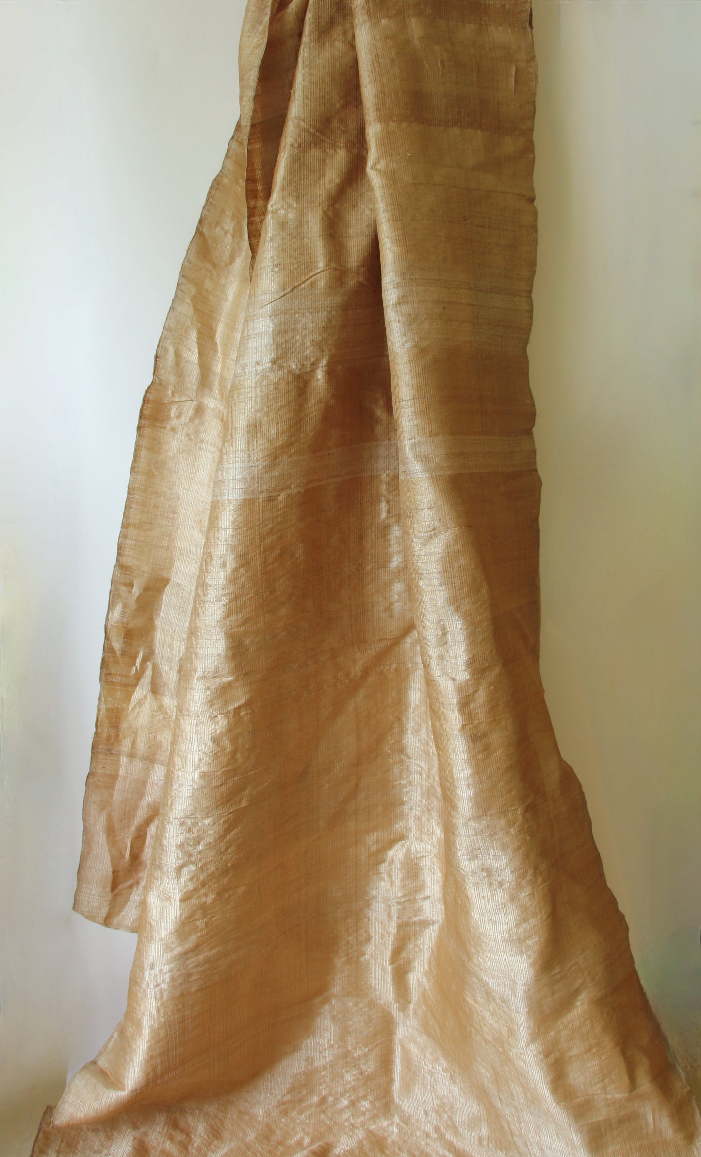 Luxurious Golden Plain Muga Silk Saree from Assam