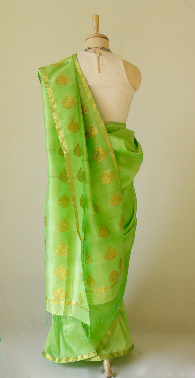 Leaf Green Handloom Silk Organza Sari from Assam , India