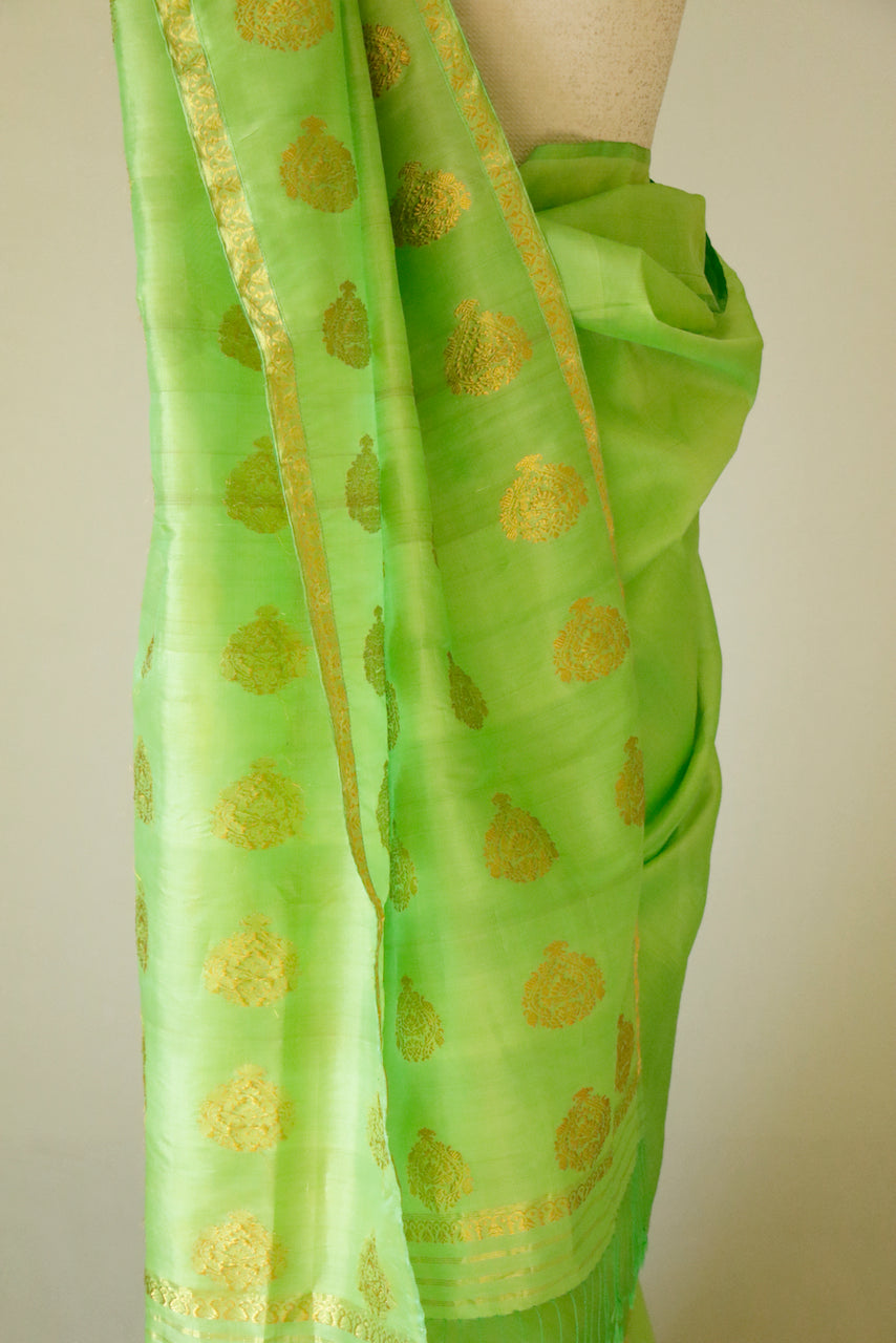 Leaf Green Handloom Silk Organza Sari from Assam , India