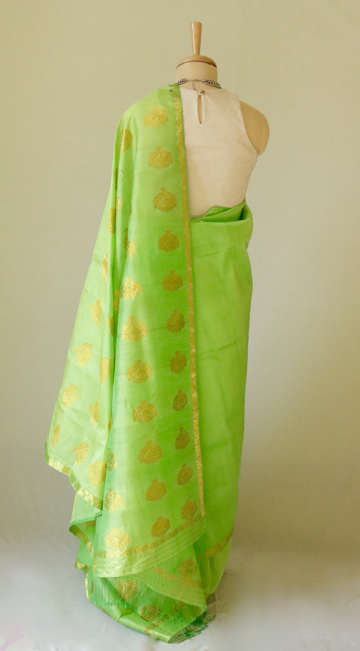 Leaf Green Handloom Silk Organza Sari from Assam , India