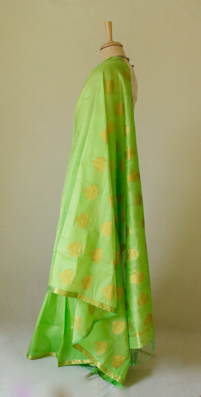Leaf Green Handloom Silk Organza Sari from Assam , India