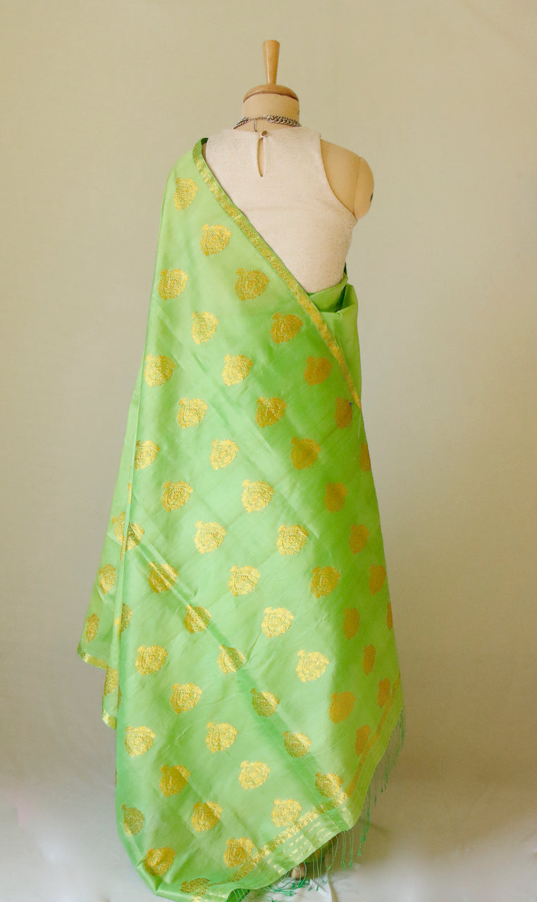 Leaf Green Handloom Silk Organza Sari from Assam , India
