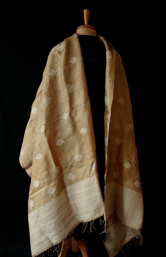 Hand woven Muga Silk Dupatta / Oversized Wrap/ Shawl  with Eri Silk Motifs from Assam