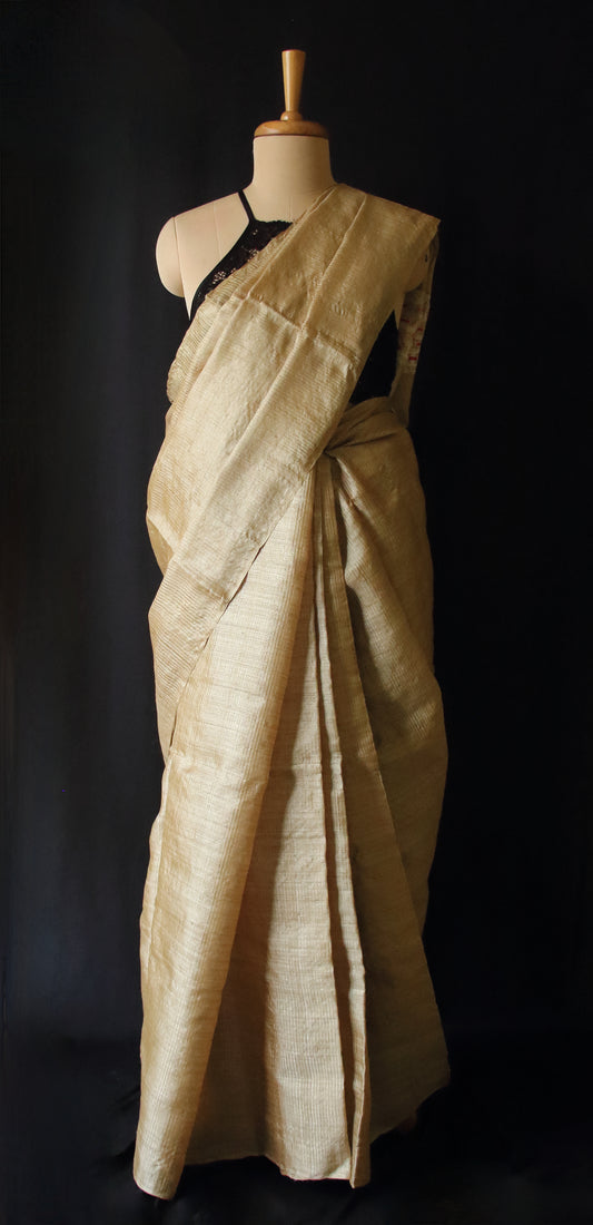 Muga Silk handloom Saree from Assam