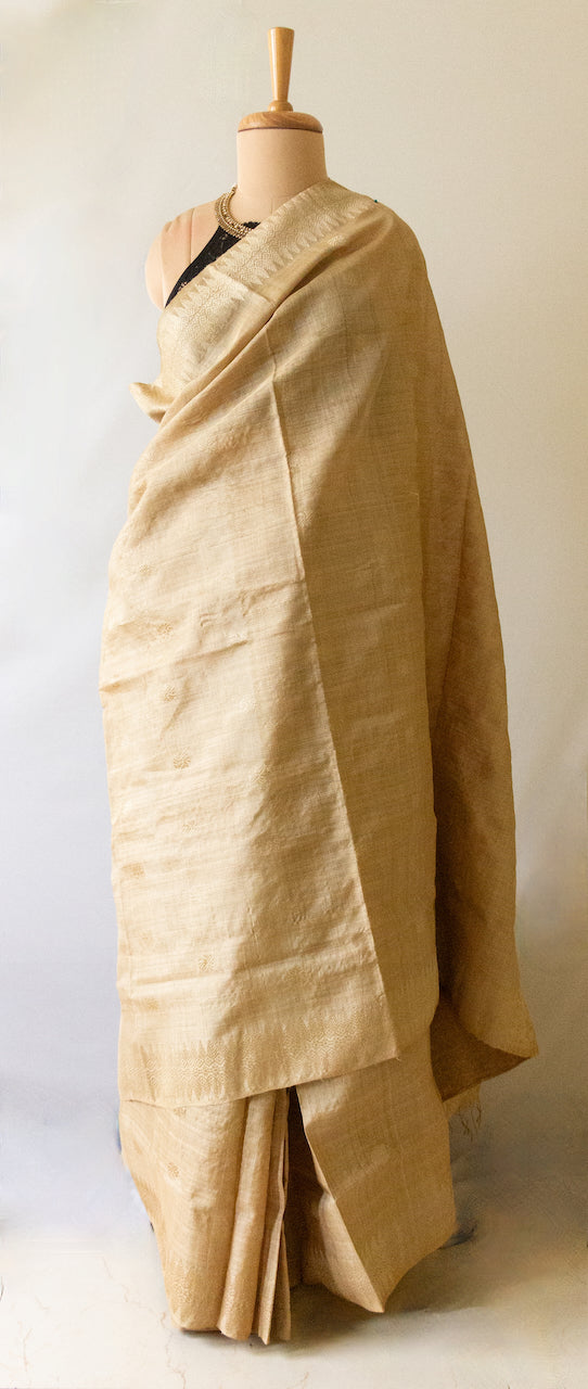 Luxurious Golden Muga Silk Saree from Assam , India