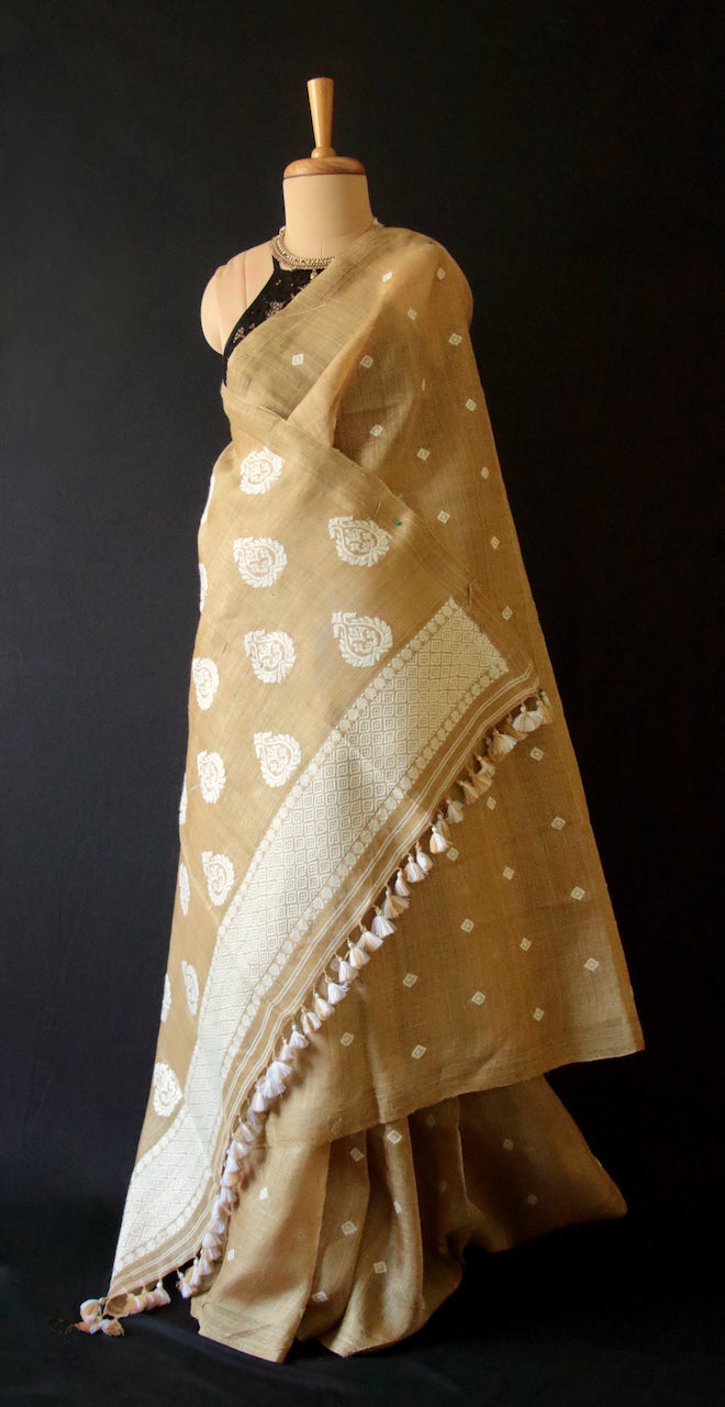 Muga Silk handloom Saree from Assam , India