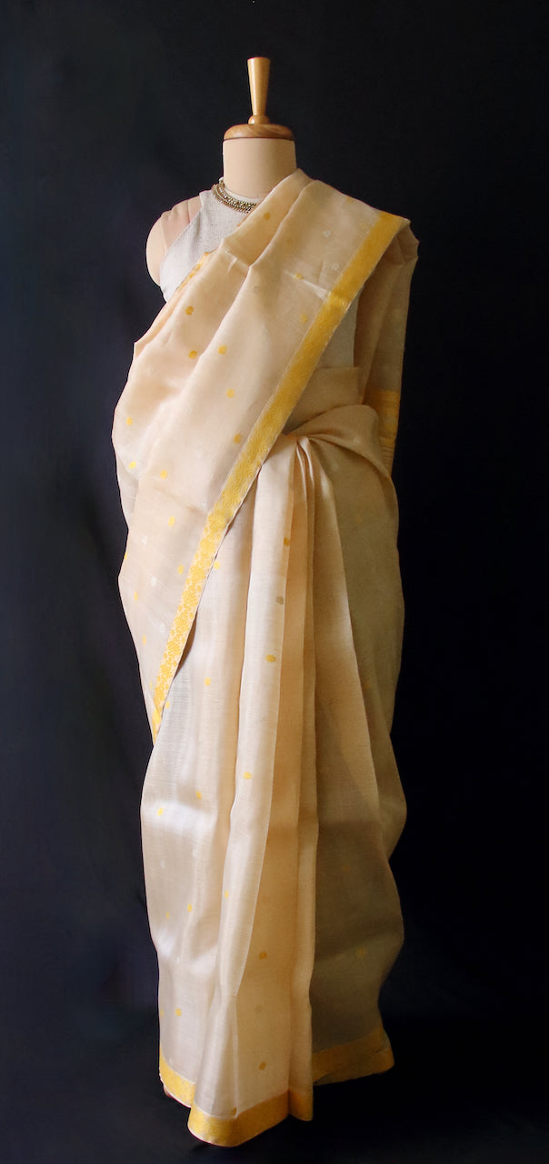 Tassar Silk by Mulberry Silk Saree with motifs in Eri silk from Assam