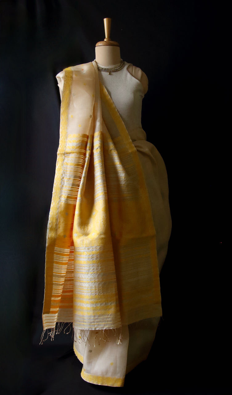 Tassar Silk by Mulberry Silk Saree with motifs in Eri silk from Assam