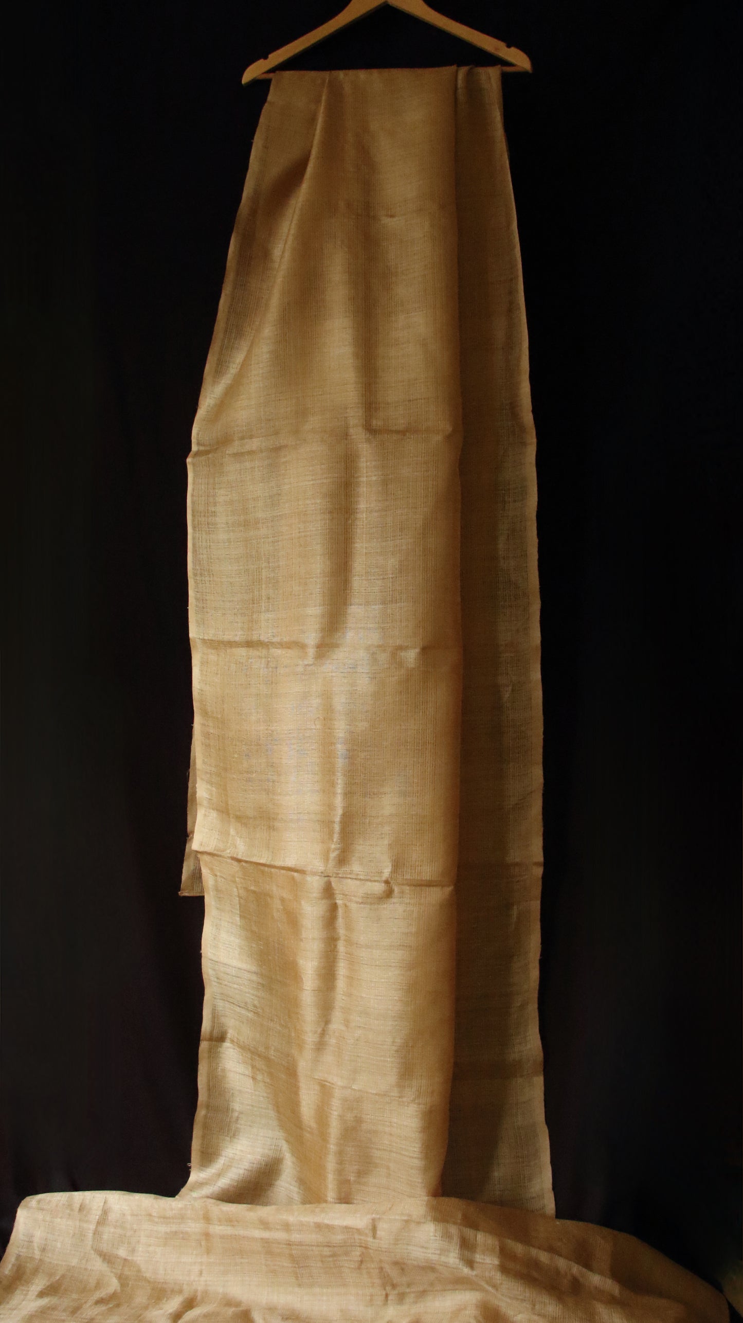 Luxurious Golden Plain Muga Silk Saree from Assam