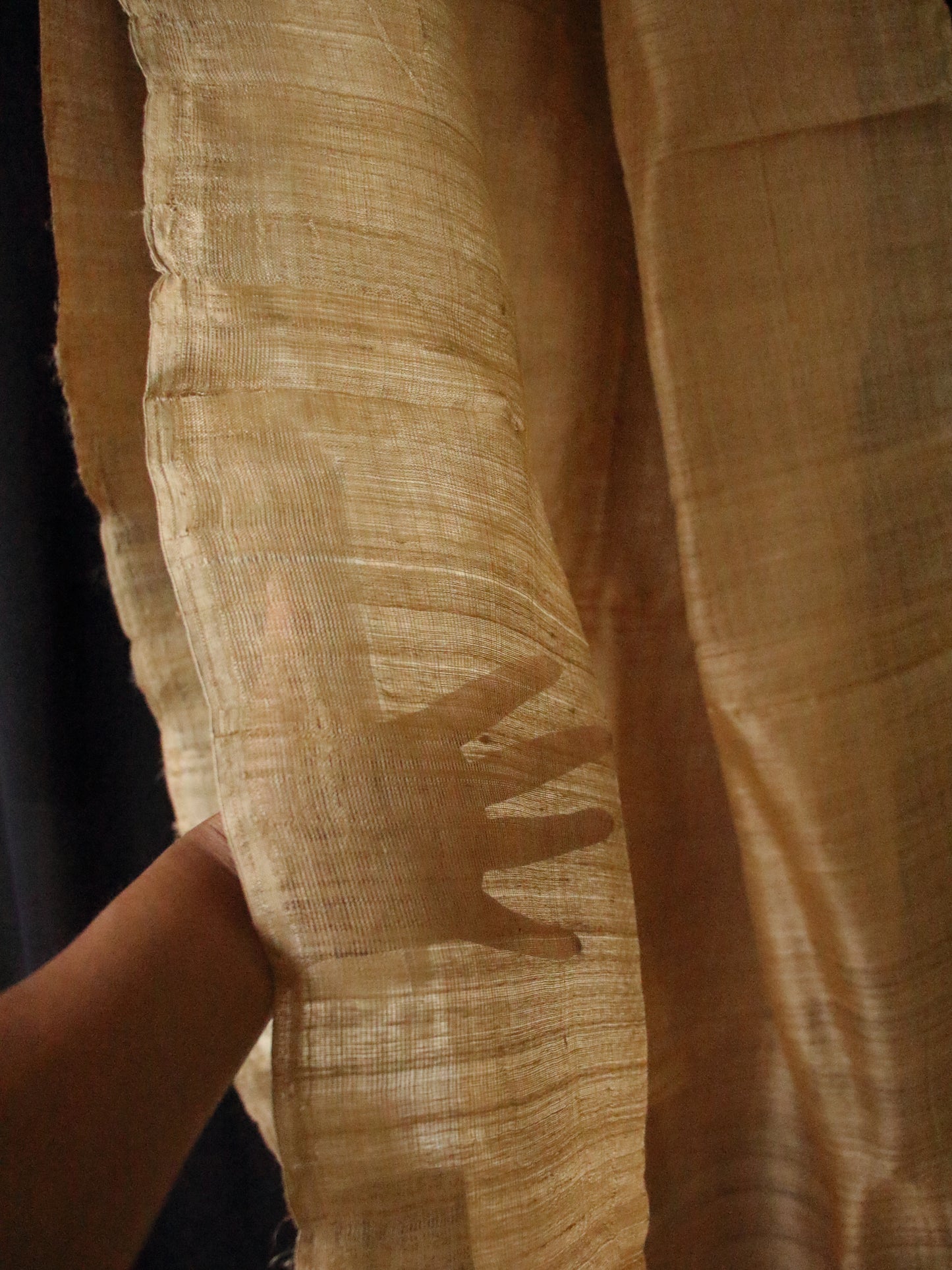 Hundred Percent Muga Silk Fabric - 46" Width