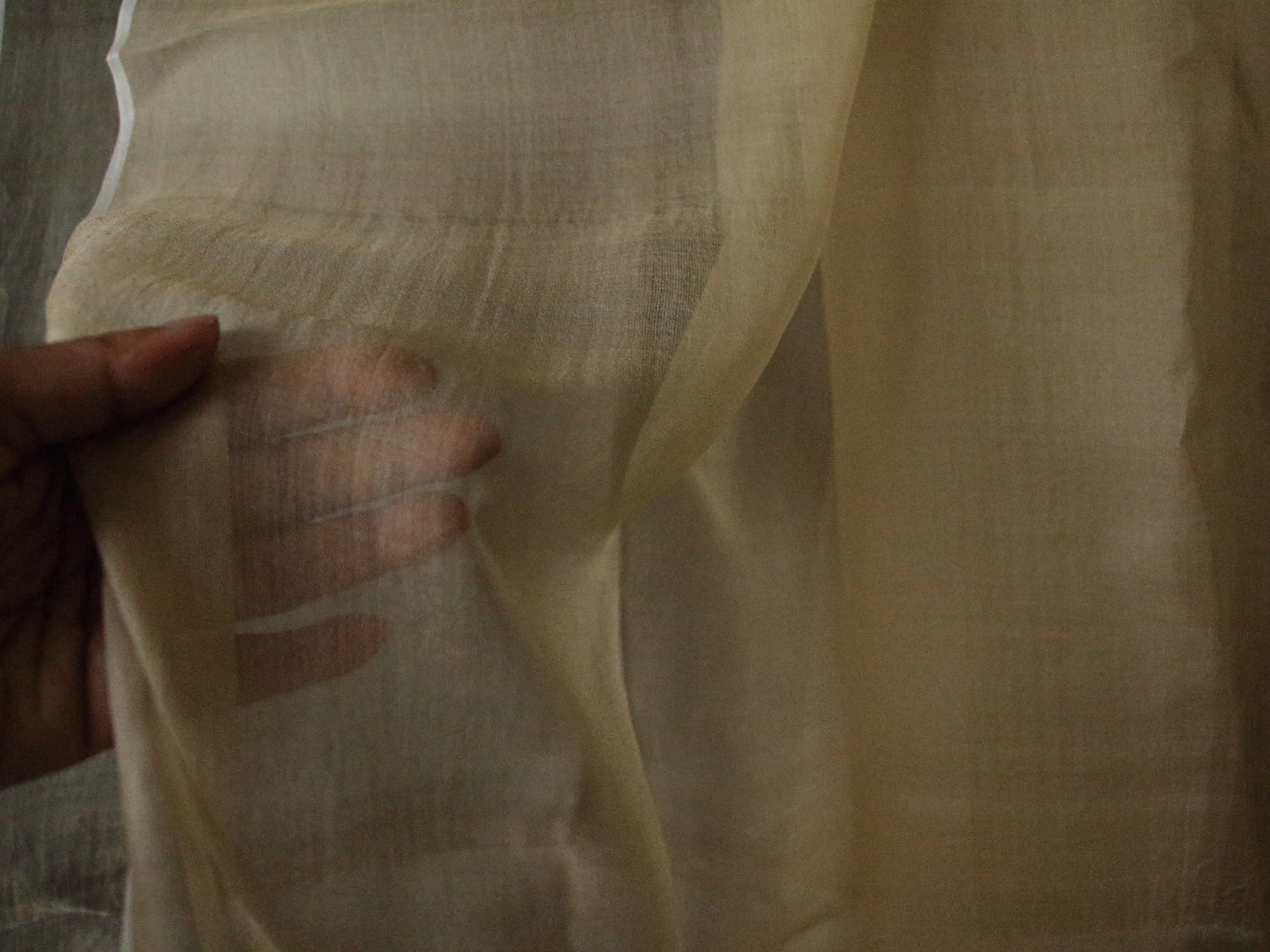 Handloom Silk Organza - width 45" from Assam