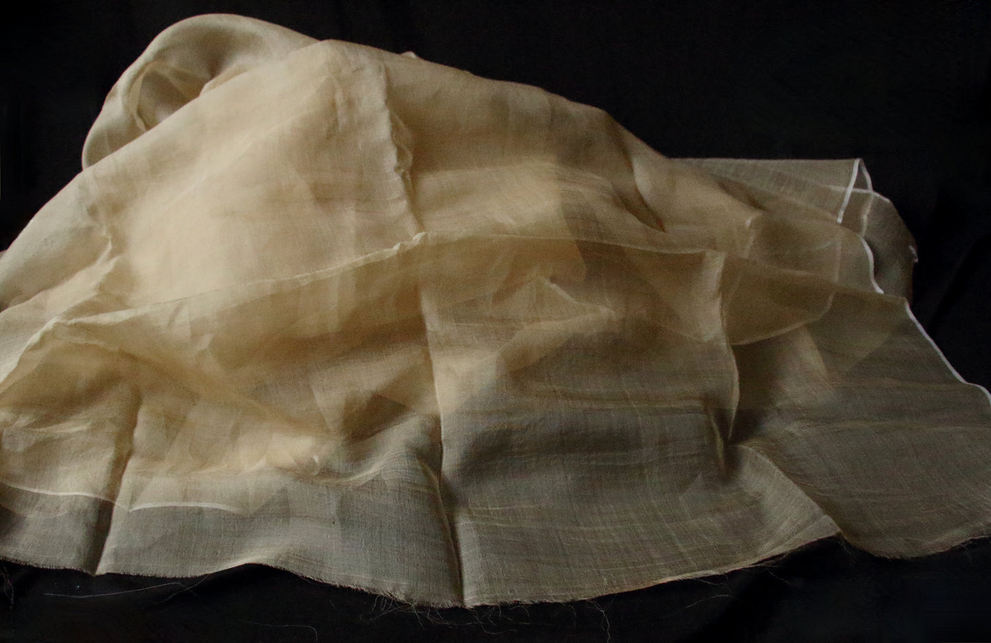 Handloom Silk Organza - width 45" from Assam