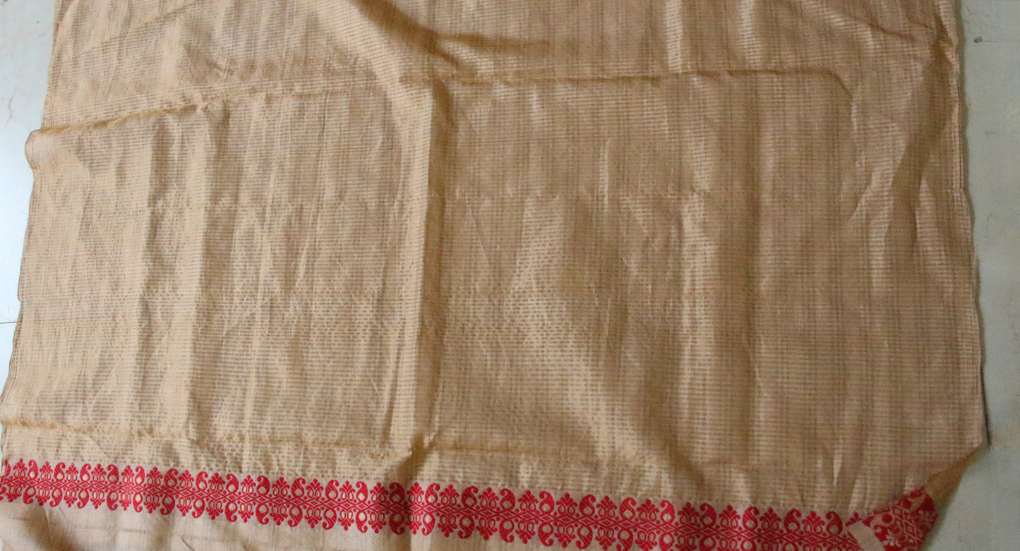 Handloom Tassar Silk Sari with traditional motifs from Assam