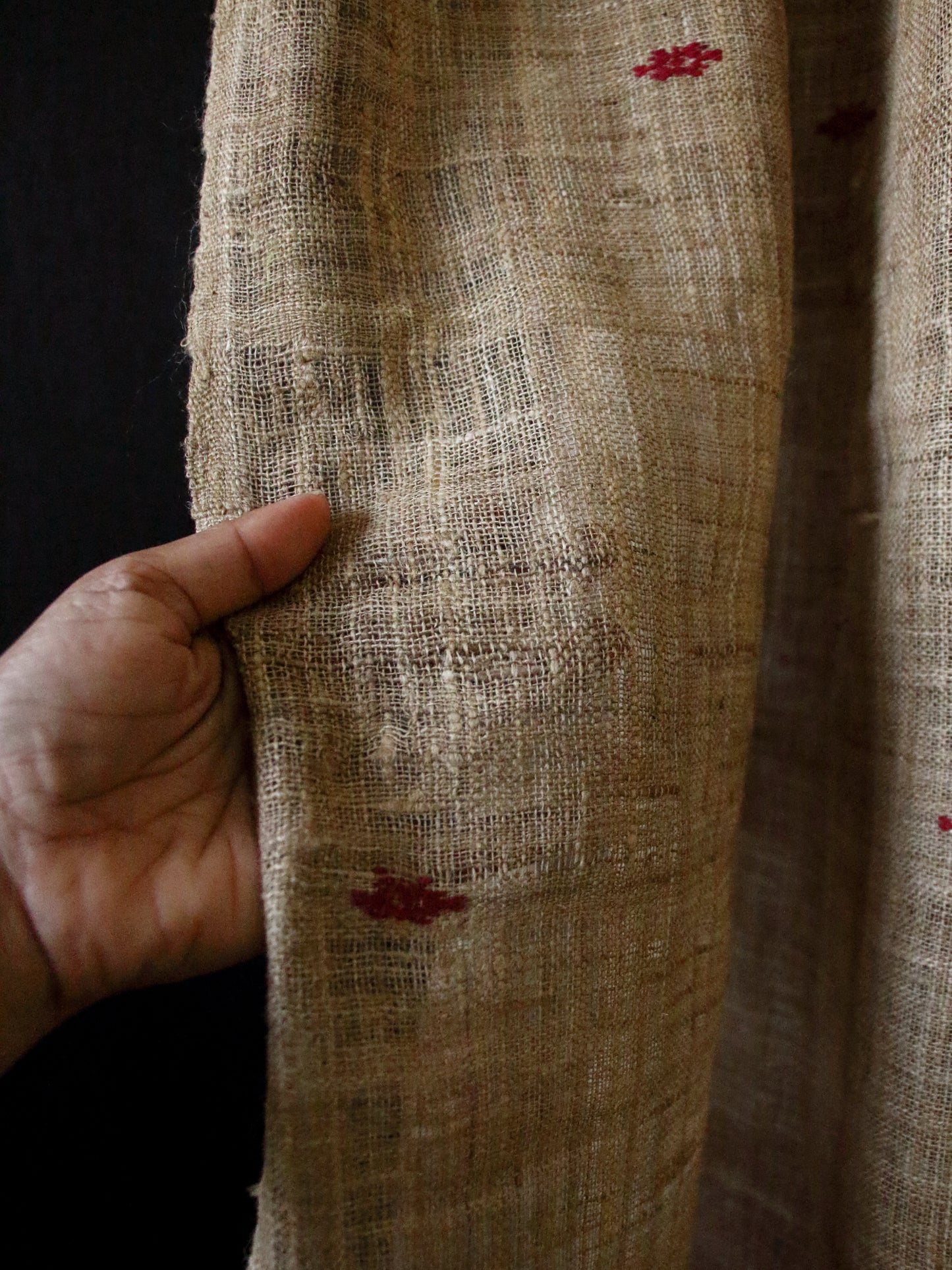 Handwoven Muga Ghicha Silk Shawl with Eri Silk Motifs from Assam