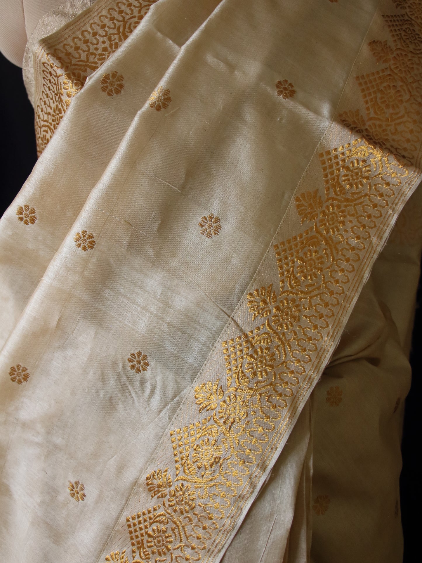 Handloom Tassar Silk Sari with motifs in Golden Zari