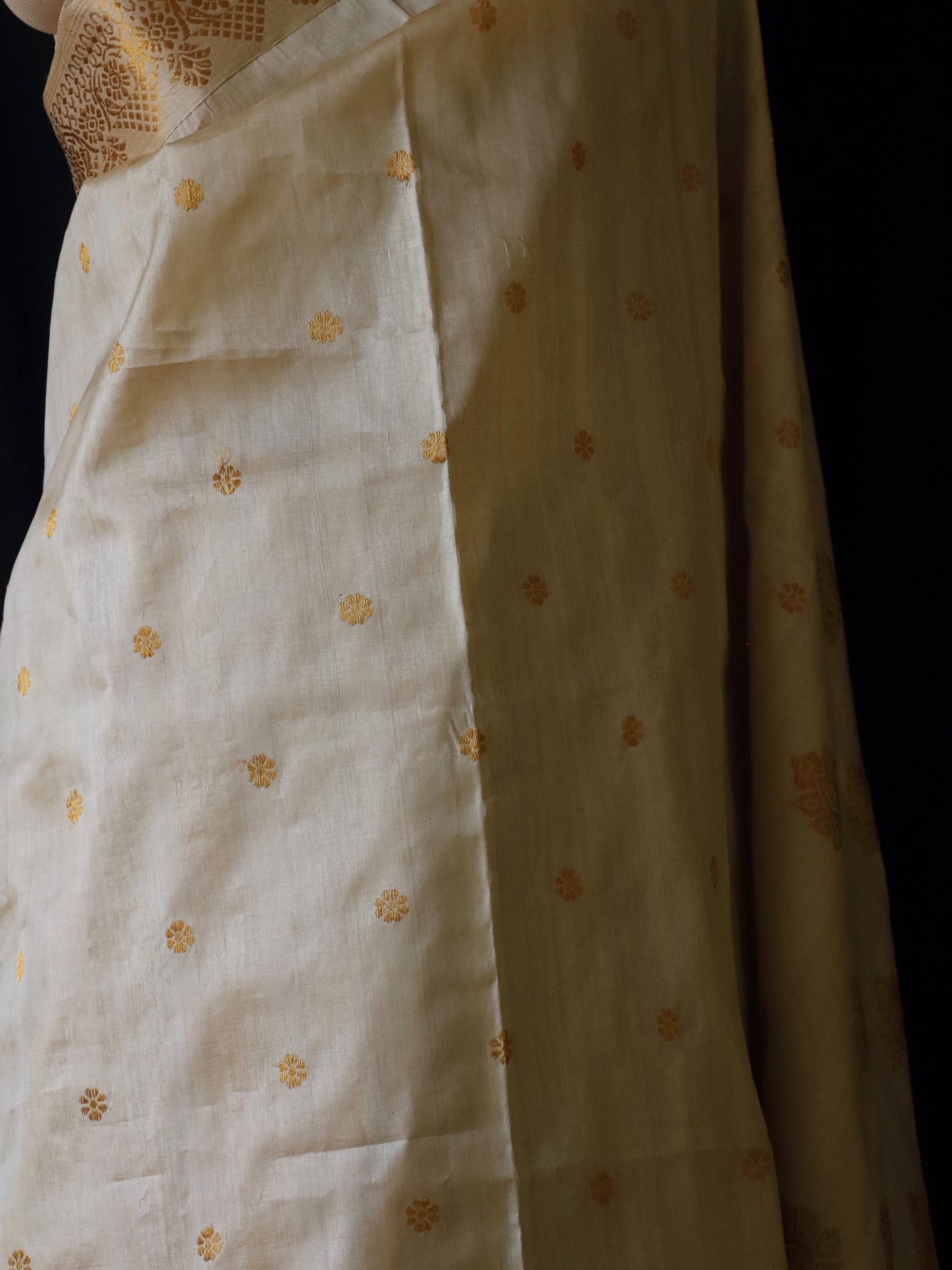 Handloom Tassar Silk Sari with motifs in Golden Zari
