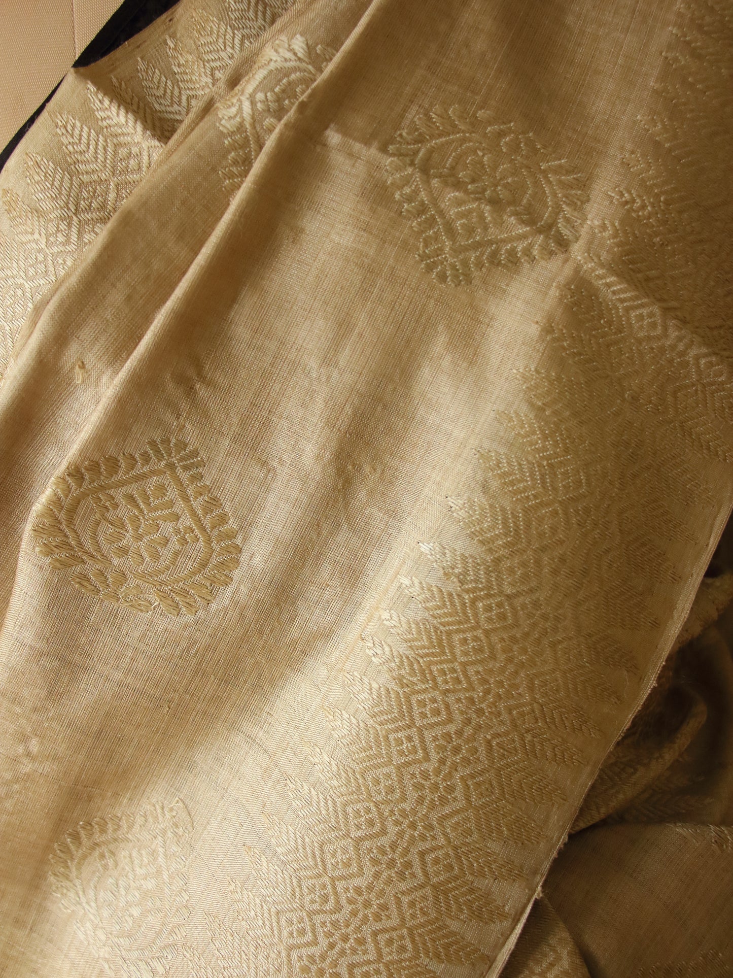 Muga Silk Mekhela Chador with Muga Silk Motifs Set
