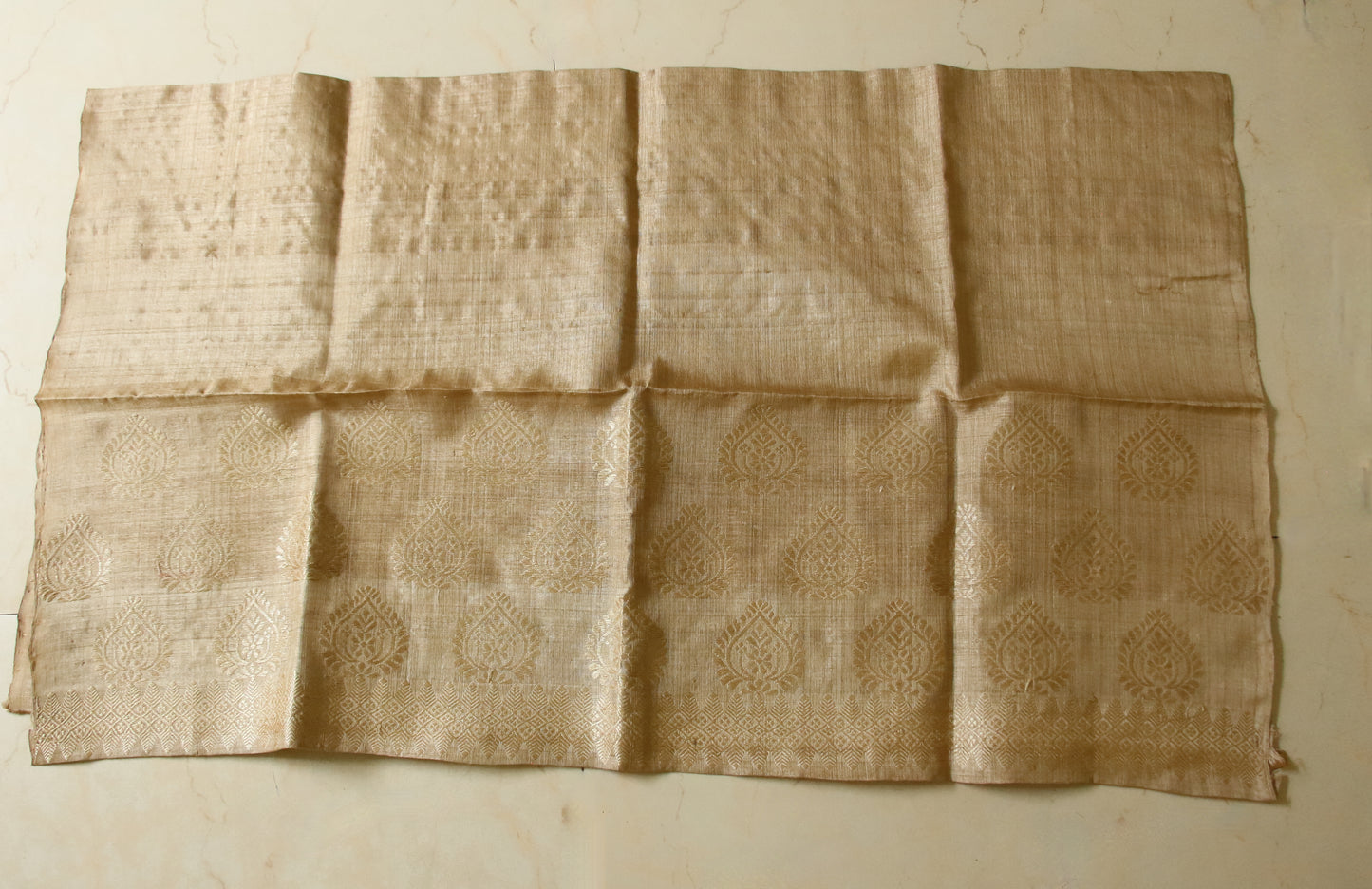 Muga Silk Mekhela Chador with Muga Silk Motifs Set
