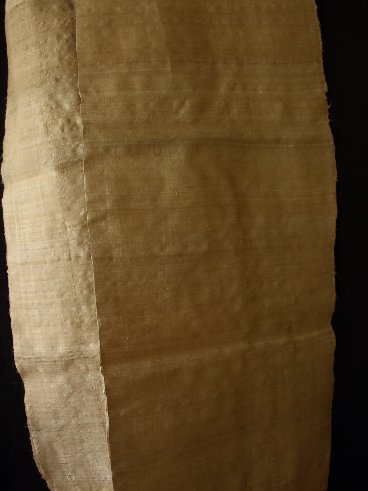 Golden Muga Silk Scarf  / Handwoven from Assam