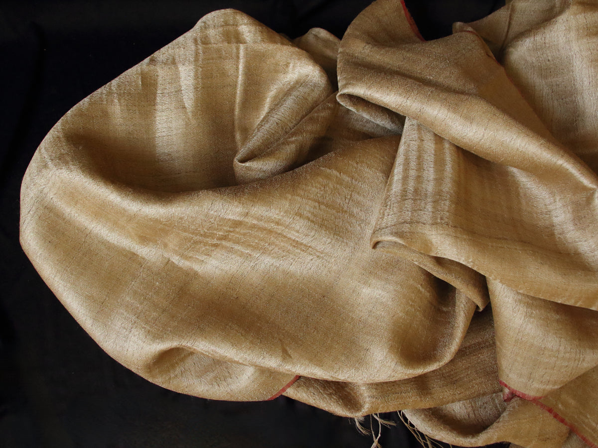Exclusive Muga Silk Saree in Twill Weave from Assam